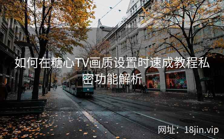 如何在糖心TV画质设置时速成教程私密功能解析