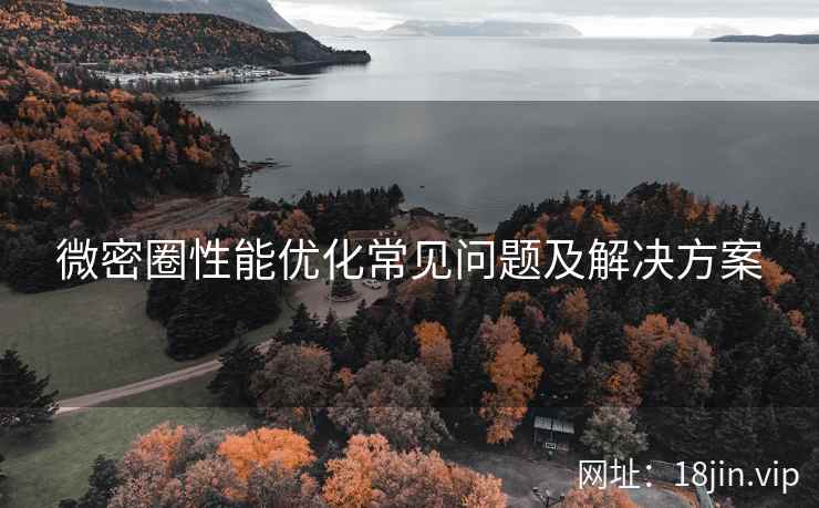 微密圈性能优化常见问题及解决方案
