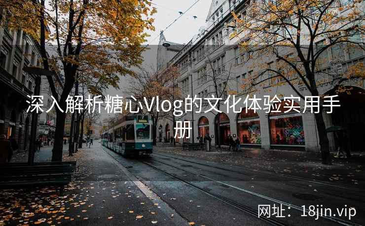 深入解析糖心Vlog的文化体验实用手册