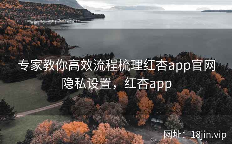 专家教你高效流程梳理红杏app官网隐私设置，红杏app