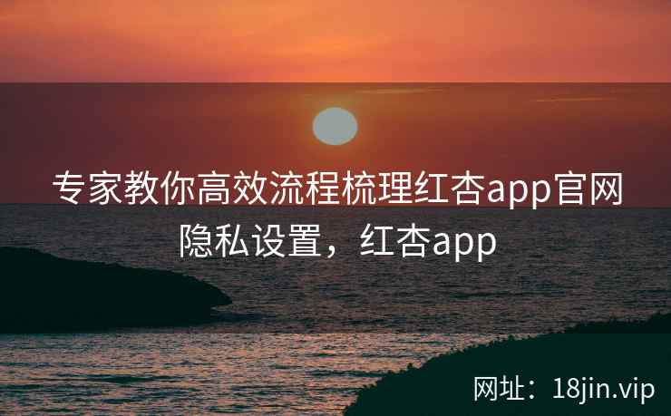 专家教你高效流程梳理红杏app官网隐私设置，红杏app