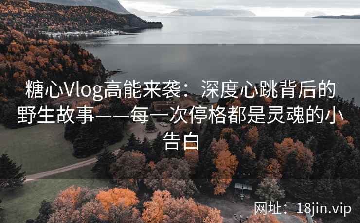 糖心Vlog高能来袭：深度心跳背后的野生故事——每一次停格都是灵魂的小告白