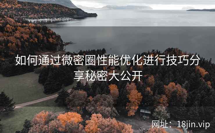 如何通过微密圈性能优化进行技巧分享秘密大公开