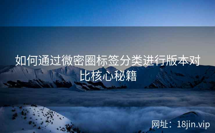 如何通过微密圈标签分类进行版本对比核心秘籍