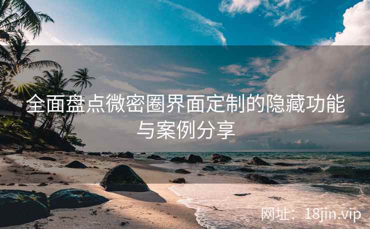 全面盘点微密圈界面定制的隐藏功能与案例分享