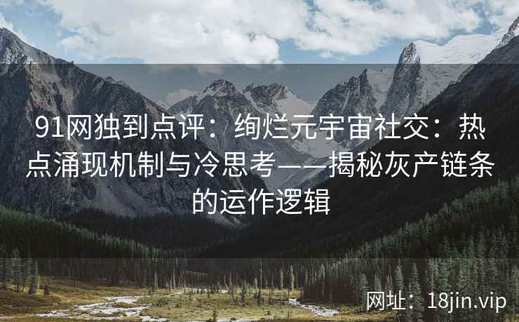 91网独到点评：绚烂元宇宙社交：热点涌现机制与冷思考——揭秘灰产链条的运作逻辑