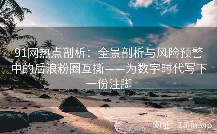 91网热点剖析：全景剖析与风险预警中的后浪粉圈互撕——为数字时代写下一份注脚